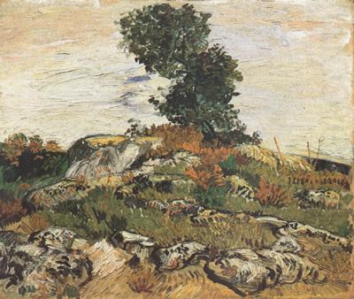 Vincent Van Gogh Rocks with Oak Trees (nn04) china oil painting image